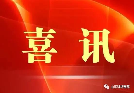 热烈祝贺 科华赛邦 被选入山东省新材料领军企业培育库